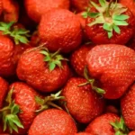 flowforce_max_ingredient_Fisetin