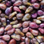 flowforce_max_ingredient_Fisetin_Grape_Seed_Extract