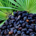 flowforce_max_ingredient_Fisetin_saw_palmetto_extract